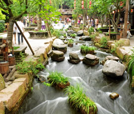 千年水碼頭、古鎮(zhèn)黃龍溪一日游