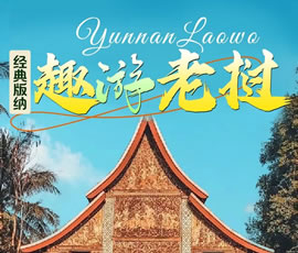 【趣游老撾 · 經(jīng)典版納】—昆明、普洱、西雙版納、磨丁、瑯勃拉邦四動(dòng)8日游